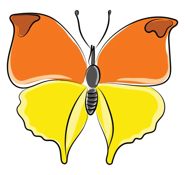Velký motýl, ilustrace, vektor na bílém pozadí. — Stockový vektor