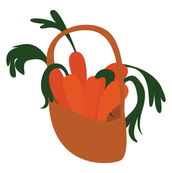 Panier avec carottes, illustration, vecteur sur fond blanc . — Image vectorielle