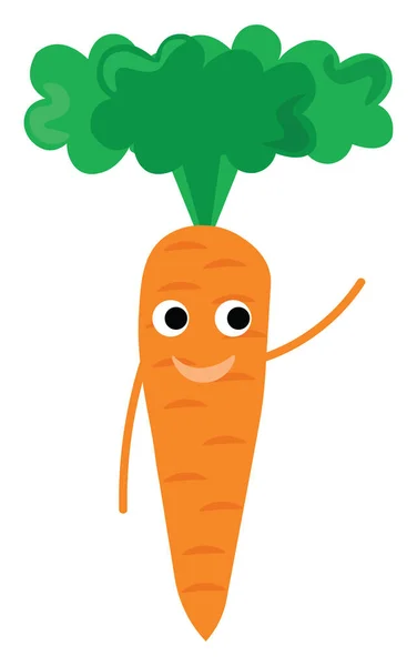 Fresh carrot, illustration, vector on white background. — Stock Vector