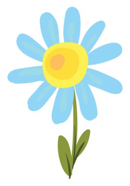 Daisy düz, illüstrasyon, beyaz arkaplanda vektör.