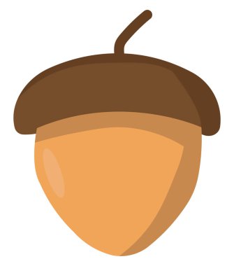 Kahverengi küçük meşe palamudu, illüstrasyon, beyaz arkaplanda vektör.