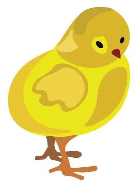 Chicken, illustration, vector on white background. — Stock Vector