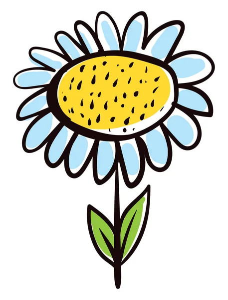 Daisy Flower, ilustrace, vektor na bílém pozadí. — Stockový vektor
