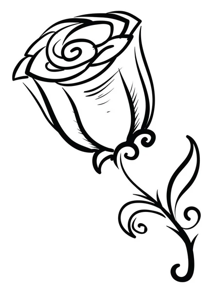 Decorative rose, illustration, vector on white background. — Stock Vector
