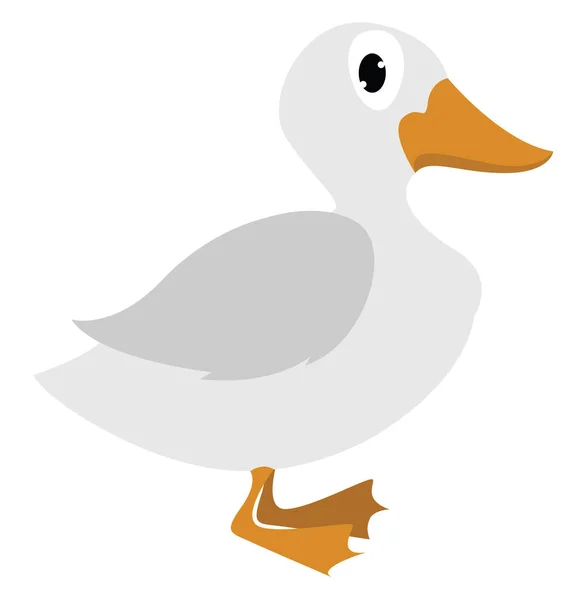 Domestic duck, illustration, vector on white background. — ストックベクタ