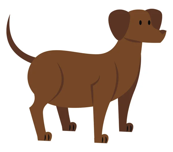 Fett hund, illustration, vektor på vit bakgrund. — Stock vektor