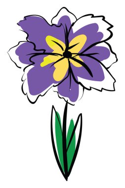 İris çizimi, illüstrasyon, beyaz arkaplan üzerindeki vektör.