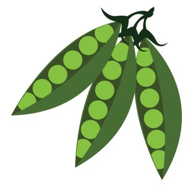 Taze bezelye, illüstrasyon, beyaz arka plan vektör.