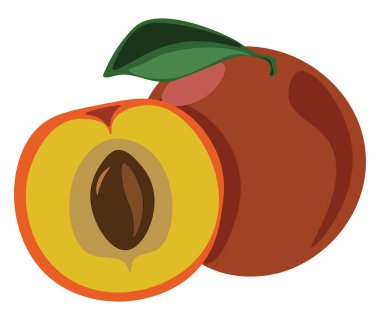 Şeftali, illüstrasyon, beyaz arka plan üzerinde vektör.