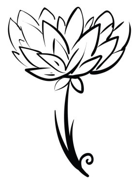 Şakayık çizimi, illüstrasyon, beyaz arkaplan üzerindeki vektör.