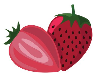 Çilek, illüstrasyon, beyaz arka plan üzerinde vektör.