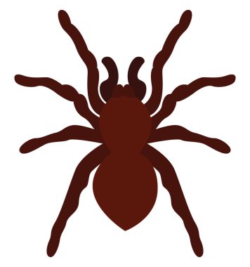Tarantula, illüstrasyon, beyaz arkaplan üzerindeki vektör.