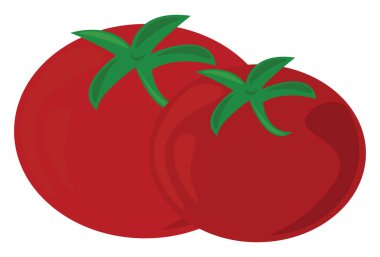 Taze domates, illüstrasyon, beyaz arka plan vektör.