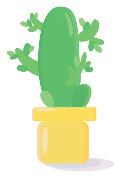 Cactus in pot, illustration, vector on white background. — Stock Vector