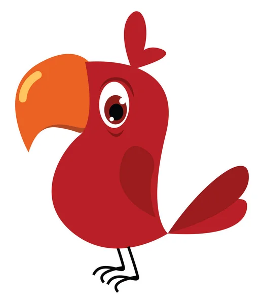 红鹦鹉，说明，白色背景上的矢量. — 图库矢量图片