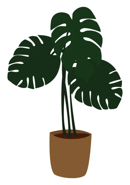 Plant in pot, illustration, vector on white background. — Stock Vector