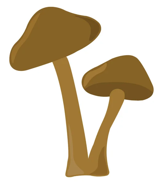 Cogumelos, ilustração, vetor sobre fundo branco . — Vetor de Stock