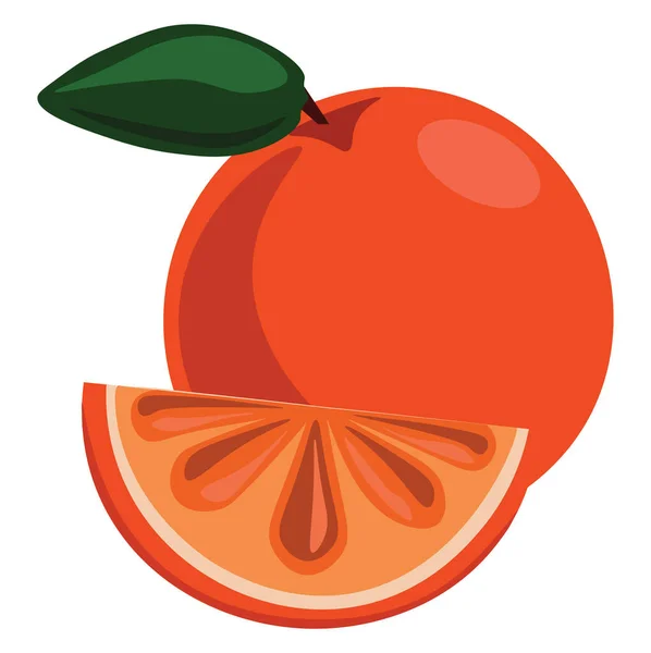 Fruta laranja, ilustração, vetor sobre fundo branco . — Vetor de Stock
