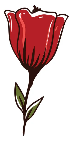 Poppy bloem, illustratie, vector op witte achtergrond. — Stockvector