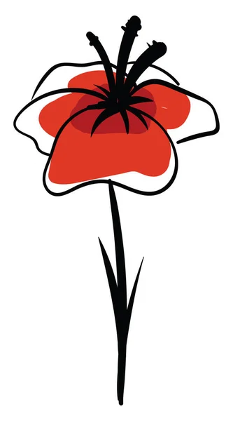 Poppy tekening, illustratie, vector op witte achtergrond. — Stockvector