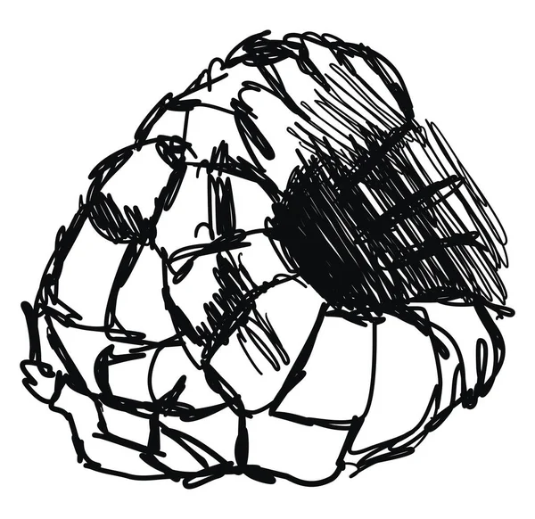 Croquis de framboises, illustration, vecteur sur fond blanc . — Image vectorielle