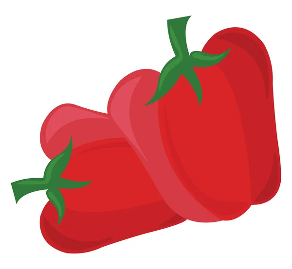 Poivron rouge, illustration, vecteur sur fond blanc . — Image vectorielle