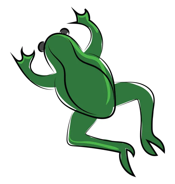 Broasca verde, ilustrație, vector pe fundal alb . — Vector de stoc