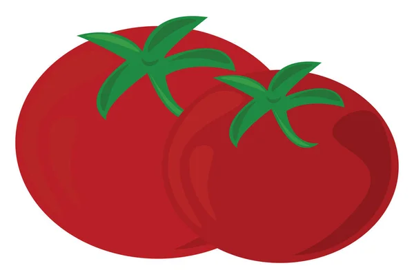 Fresh tomatoes, illustration, vector on white background. — Stock Vector