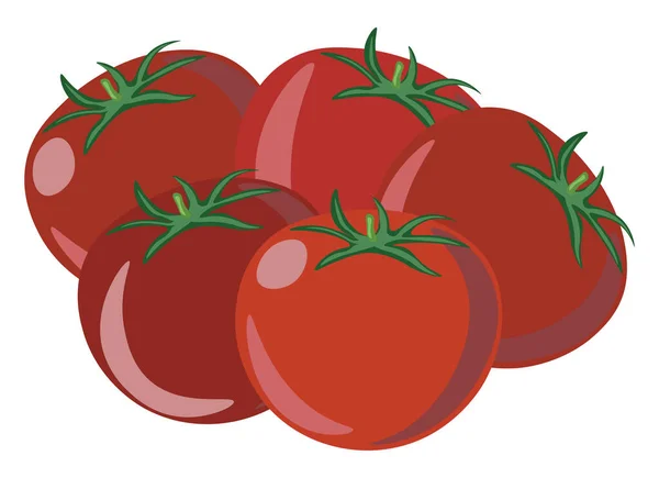 Tomaten, illustratie, vector op witte achtergrond. — Stockvector