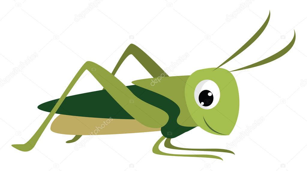Smiling grasshopper, illustration, vector on white background.