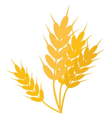 Buğday, illüstrasyon, beyaz arka plan üzerinde vektör.