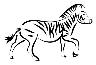 Zebra çizimi, illüstrasyon, beyaz arkaplan üzerindeki vektör.