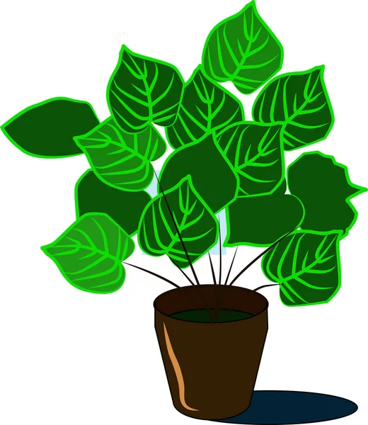 Plant in vase, illustration, vector on white background. — Stock Vector