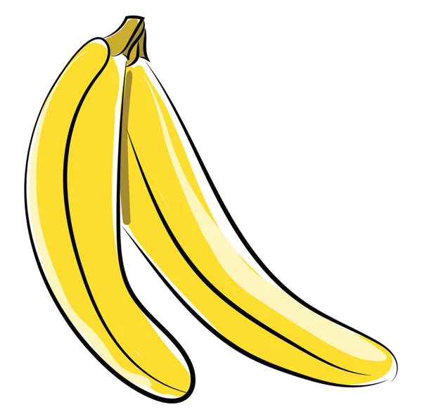Bananas, illustration, vector on white background. — Stock Vector