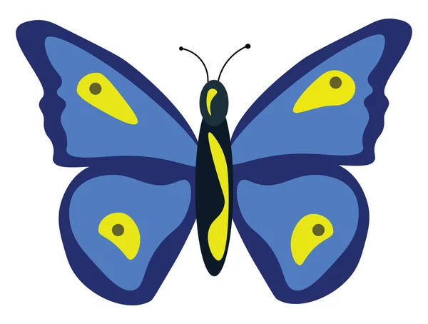 蓝色蝴蝶，插图，白色背景的矢量. — 图库矢量图片