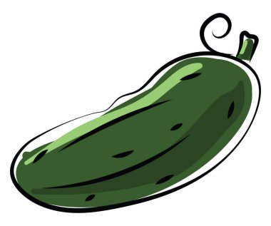 Salatalık, illüstrasyon, beyaz arka plan üzerinde vektör.