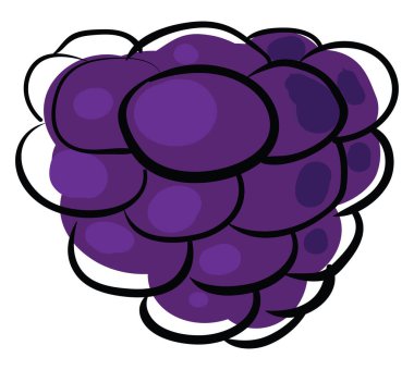 Blackberry çizimi, illüstrasyon, beyaz arkaplan üzerindeki vektör.