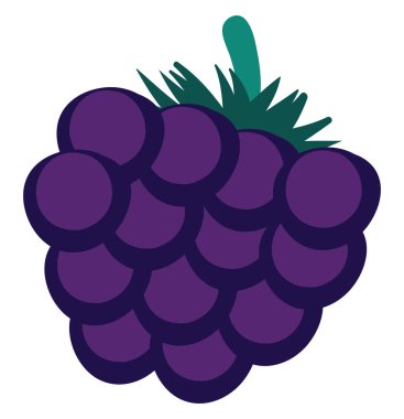 Blackberry düz, illüstrasyon, beyaz arkaplanda vektör.