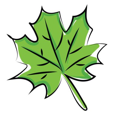 yeşil yaprak, illüstrasyon, beyaz arkaplan üzerindeki vektör.