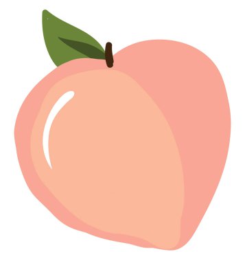 Şeftali, illüstrasyon, beyaz arka plan üzerinde vektör.