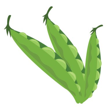 Taze bezelye, illüstrasyon, beyaz arka plan vektör.