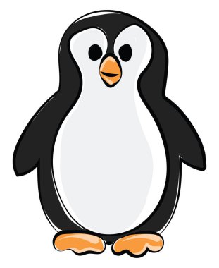 Penguen, illüstrasyon, beyaz arka plan üzerinde vektör.