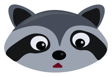 Rakun başı, illüstrasyon, beyaz arkaplan üzerindeki vektör.