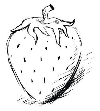 Çilek çizimi, illüstrasyon, beyaz arkaplan üzerindeki vektör.