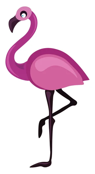 Flamingo, illüstrasyon, beyaz arka plan üzerinde vektör. — Stok Vektör