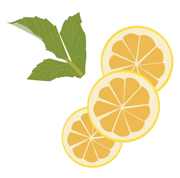 Cutted lemons, illustration, vector on white background. — Stock Vector