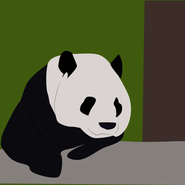 Panda nel bosco, illustrazione, vettore su sfondo bianco . — Vettoriale Stock