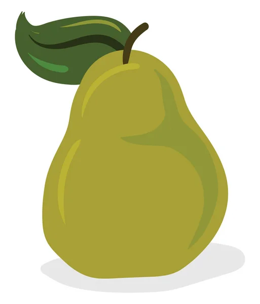 Pear fruit, illustration, vector on white background. — Stock Vector