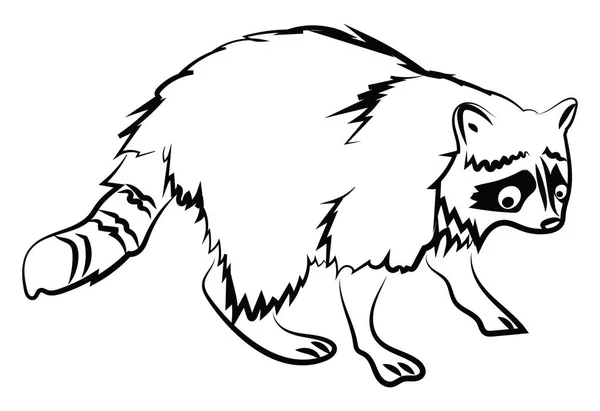 Bosquejo de mapache, ilustración, vector sobre fondo blanco . — Vector de stock