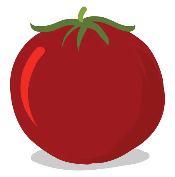 Flat tomato, illustration, vector on white background. — Stock Vector